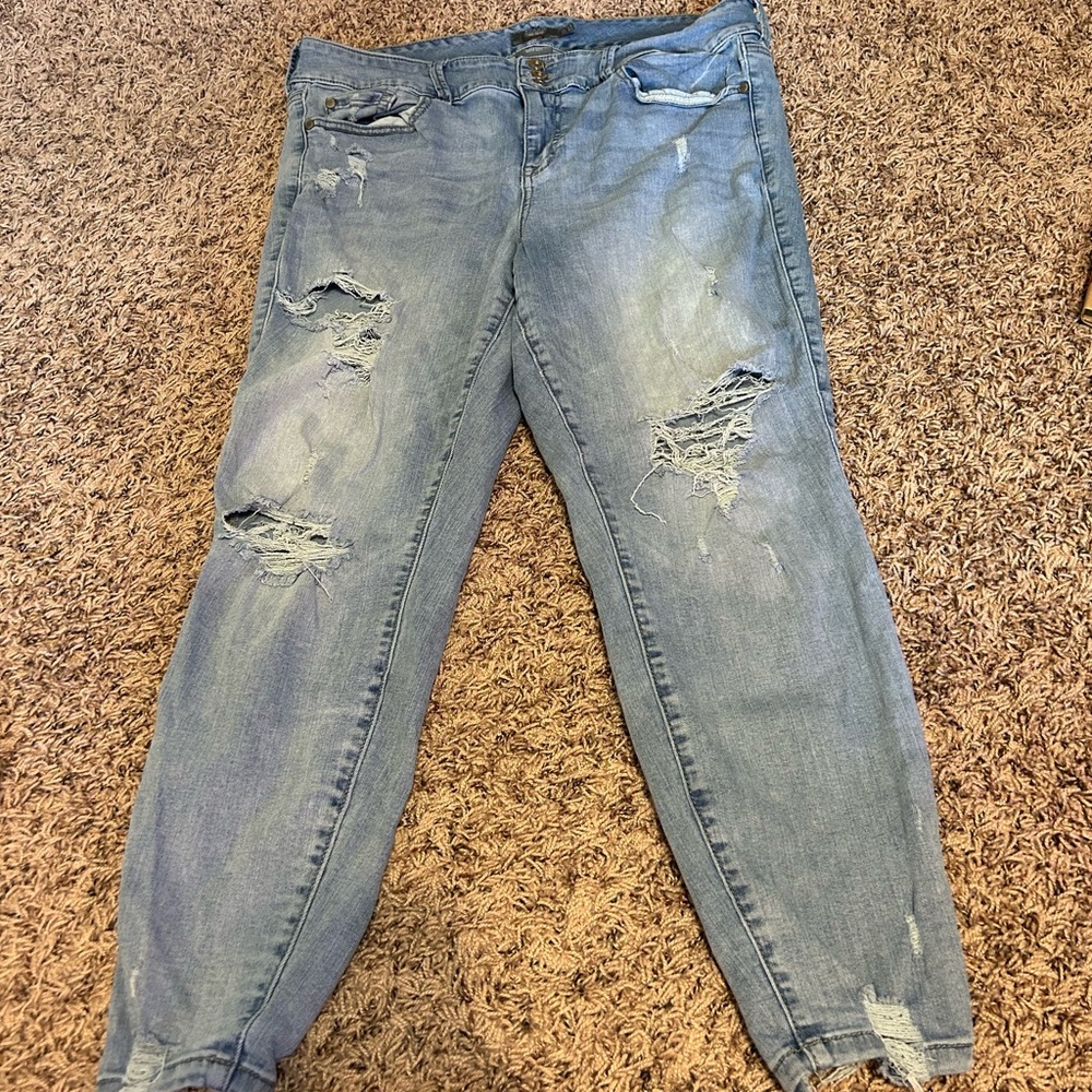 Torrid Jegging